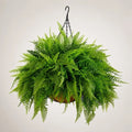 20” UV Artificial Mixed Fern Hanging Basket, Realistic Faux Greenery Plant for Indoor Outdoor Home Garden Decor